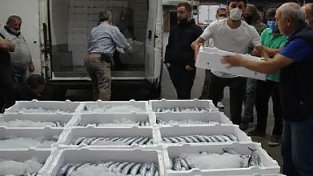 Rize'de denize açılan balıkçılar kasalar dolusu palamutla döndü