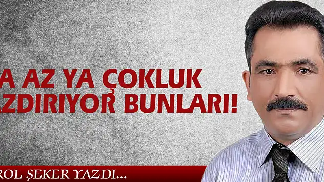 YA AZ YA ÇOKLUK AZDIRIYOR BUNLARI!