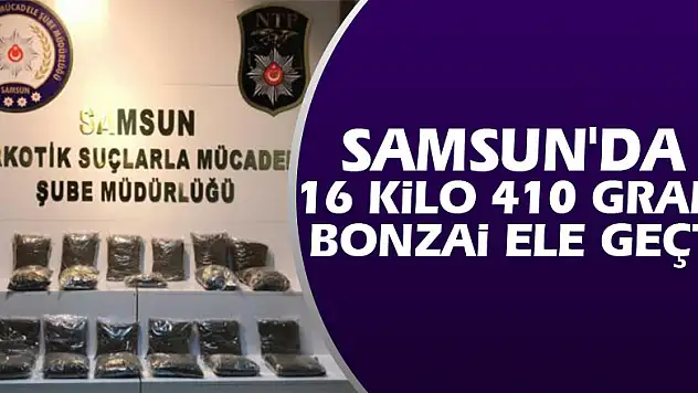 Samsun'da 16 kilo 410 gram bonzai ele geçti: 6 gözaltı