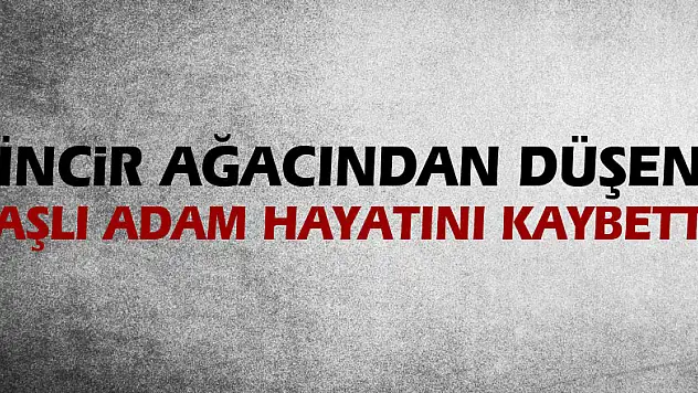 İncir ağacından düşen yaşlı adam hayatını kaybetti
