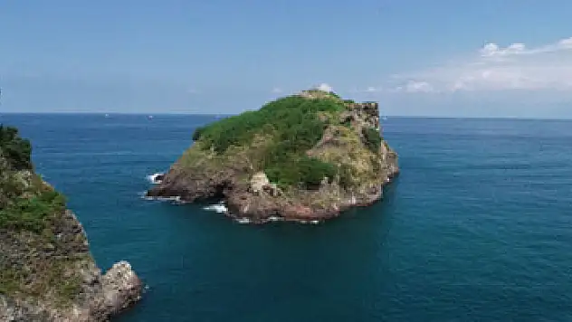 Ordu'nun kuş cenneti: 'Hoynat Adası'