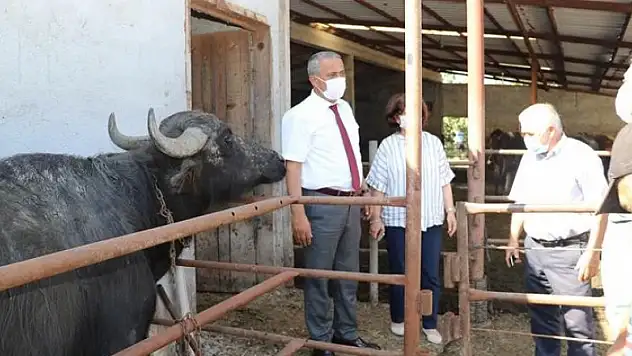 Samsun'da 'Mandalarda Suni Tohumlama Projesi' başladı 