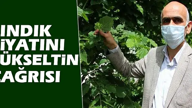 'Fındık fiyatını yükseltin' çağrısı