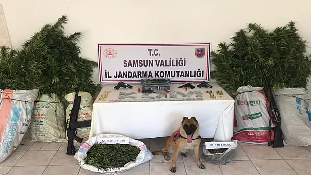 Bafra'da jandarma ekipleri uyuşturucu ve silah ele geçirdi
