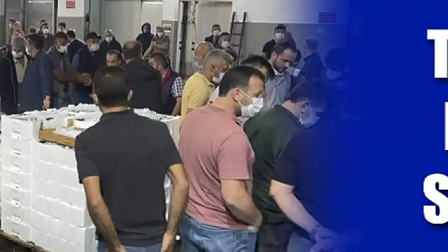 Türkiye'nin palamudu Samsun'dan 