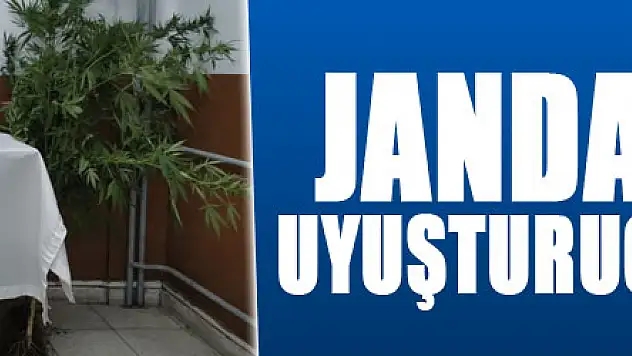 Jandarmadan uyuşturucu operasyonu