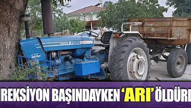 'Arı' Direksiyon Başındayken Öldürdü