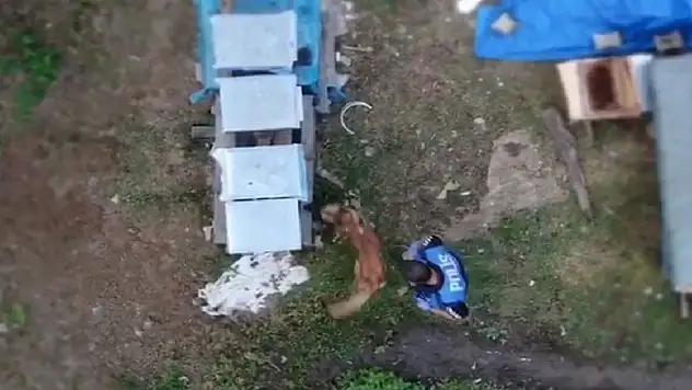 Polis drone ile takip edip arı kovanını içinde uyuşturucu ve silah ele geçirdi