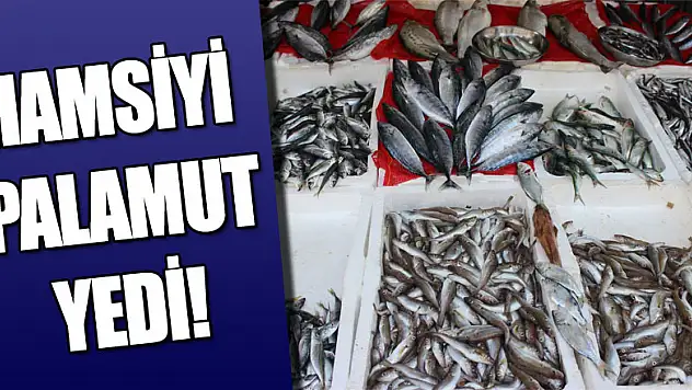 Hamsiyi Palamut Yedi!