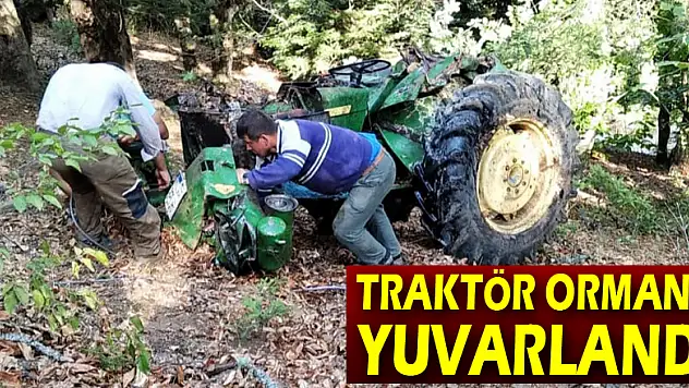 Traktör ormana yuvarlandı: 1 ölü, 2 yaralı