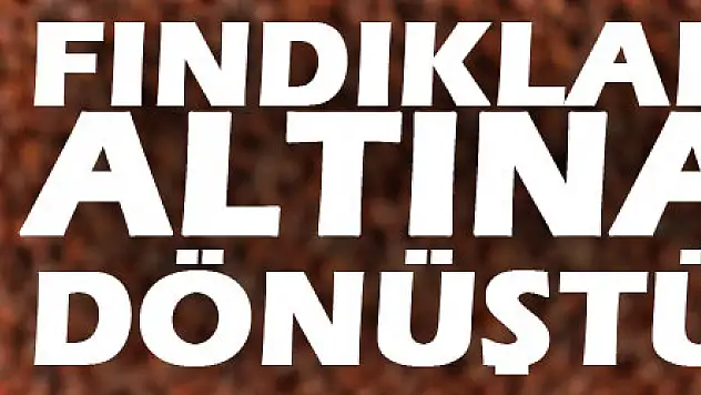 FINDIKLAR ALTINA DÖNÜŞTÜ