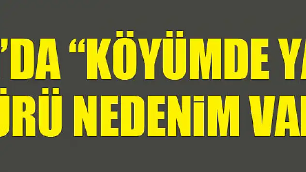 Samsun'da 'Köyümde Yaşamak İçin Bir Sürü Nedenim Var Projesi'