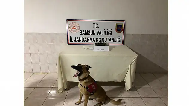 Bafra'da kubar esrar ele geçirildi