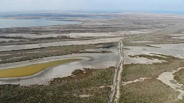 Kızılırmak Deltası'nda korkutan görüntü