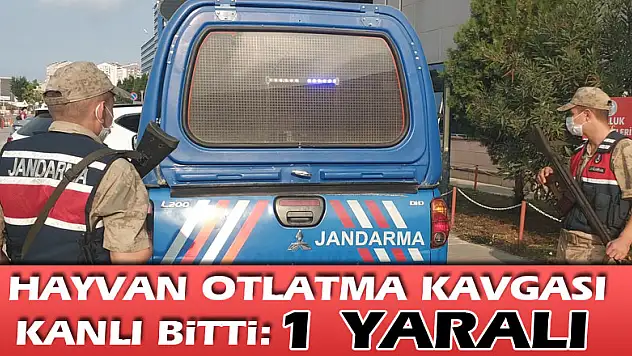 Hayvan otlatma kavgası kanlı bitti: 1 yaralı