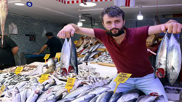 Palamut Karadeniz'e 'elveda' demeye hazırlanıyor