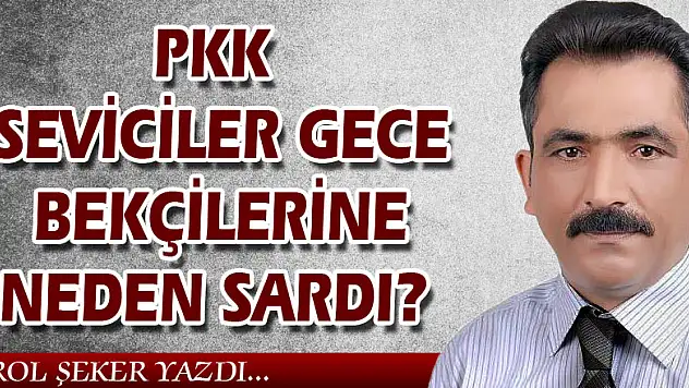 PKK SEVİCİLER GECE BEKÇİLERİNE NEDEN SARDI?