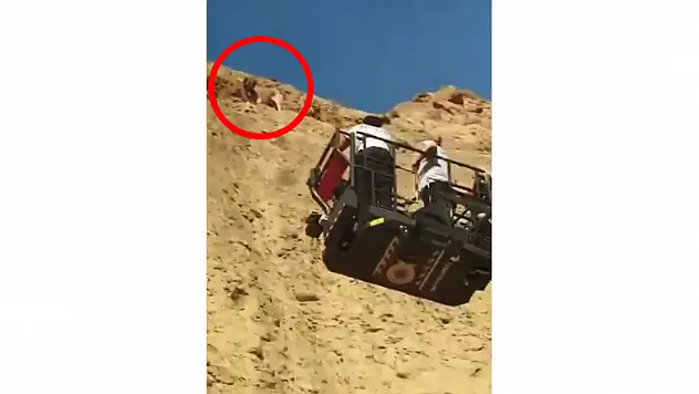 Uçurumda mahsur kalan köpeği itfaiye kurtardı