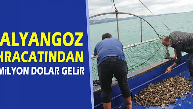 Deniz salyangozu ihracatından 3 milyon dolar gelir