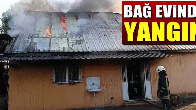 Samsun'da bağ evinde yangın