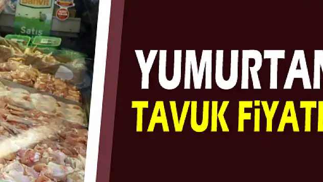 Yumurtanın ardından tavuk fiyatları da zamlandı