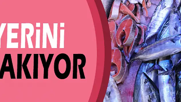 Samsun'da palamut yerini hamsiye bırakıyor