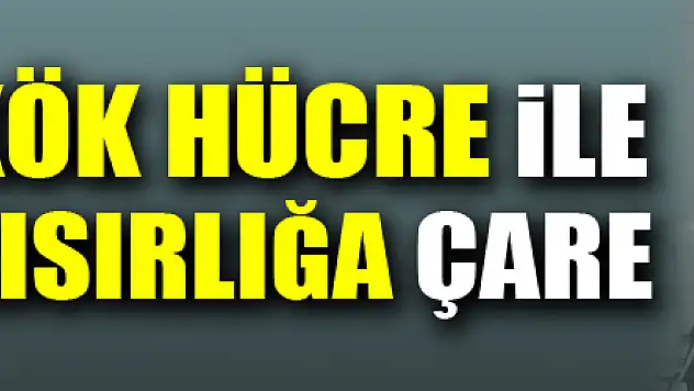 Kök hücre ile kısırlığa çare