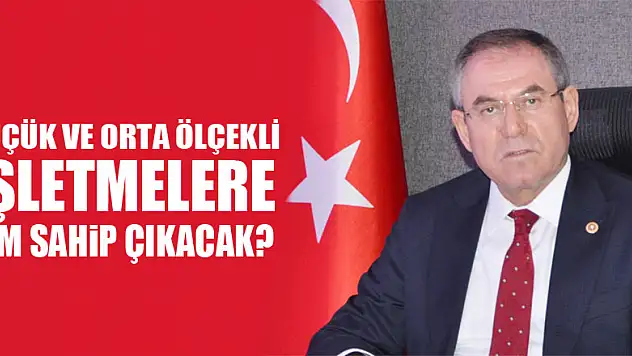 KÜÇÜK VE ORTA ÖLÇEKLİ İŞLETMELERE KİM SAHİP ÇIKACAK?