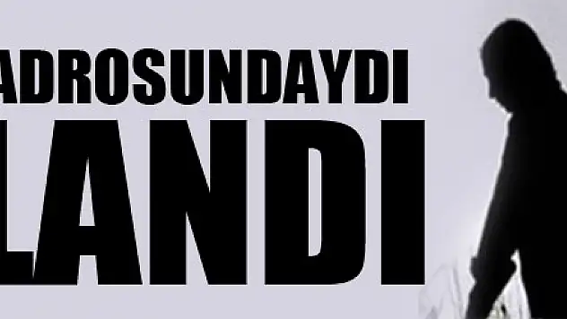 PKK'nın dağ kadrosunda 23 yıldır yer alan, mavi kategorideki terörist etkisiz hale getirildi