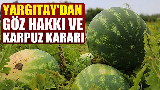 Yargıtay'dan göz hakkı ve karpuz kararı