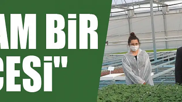 Vali Dağlı: 'Bafra tam bir tarım ilçesi'