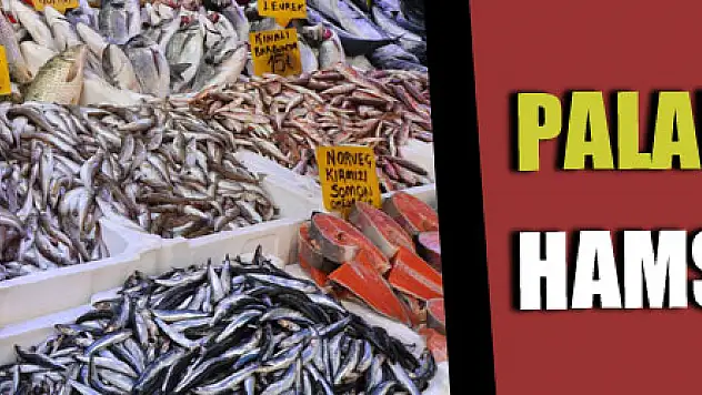 Palamuda 'elveda', hamsiye 'merhaba'