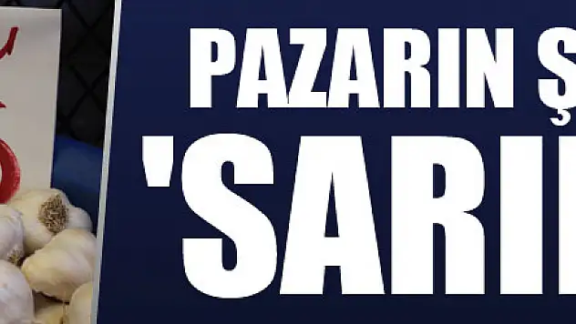 Pazarın şampiyonu 'sarımsak'