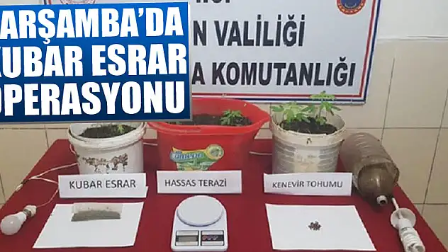 Uyuşturucu madde ve ateşli silahtan 13 şüpheliye gözaltı