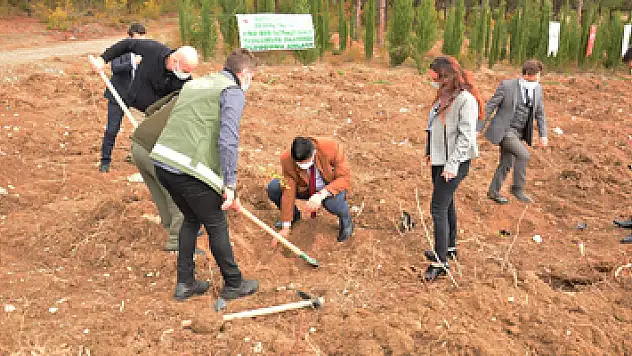 7 bin 200 fidan toprakla buluştu