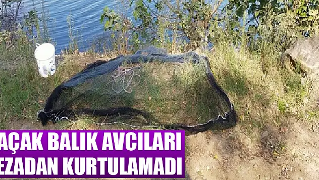 Kaçak balık avcıları cezadan kurtulamadı