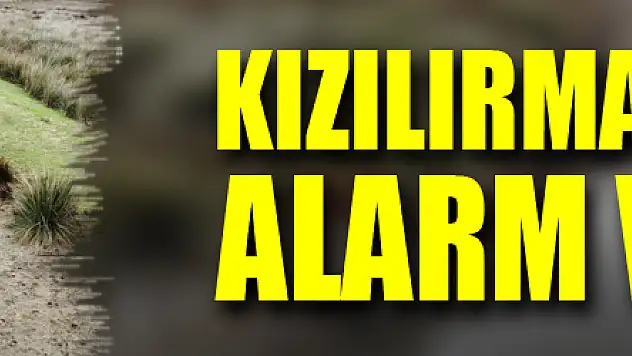Kızılırmak Deltası alarm veriyor
