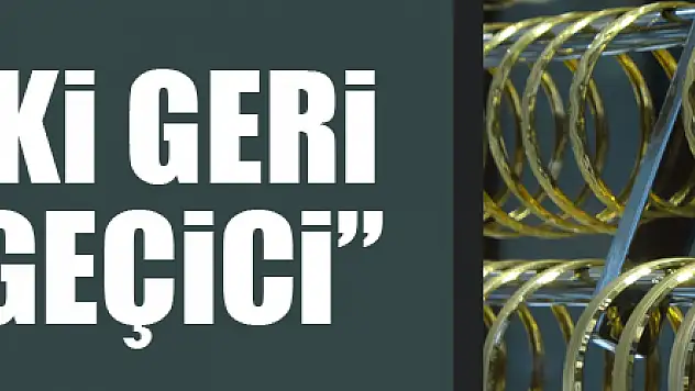 Başkan Özman: 'Altındaki geri çekilme geçici'