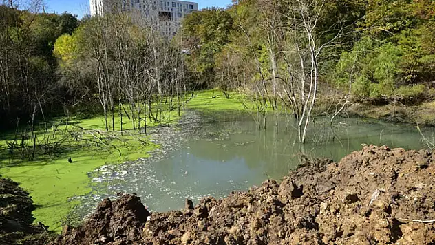 OMÜ'de bataklığa dönüşen alan piknik yeri yapılıyor
