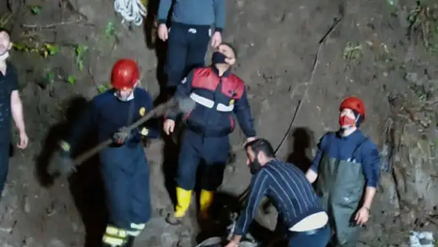 Çamura saplanan inek kurtarıldı