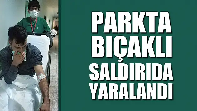 Parkta bıçaklı saldırıda yaralandı