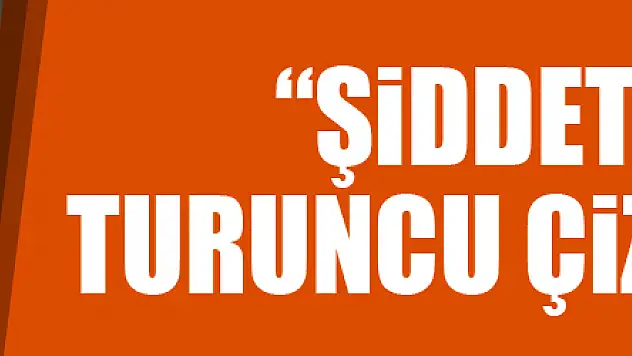 Rabia Bay Keser: 'Şiddet bizim turuncu çizgimizdir'