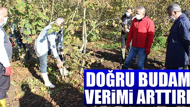 DOĞRU BUDAMA VERİMİ ARTTIRIR