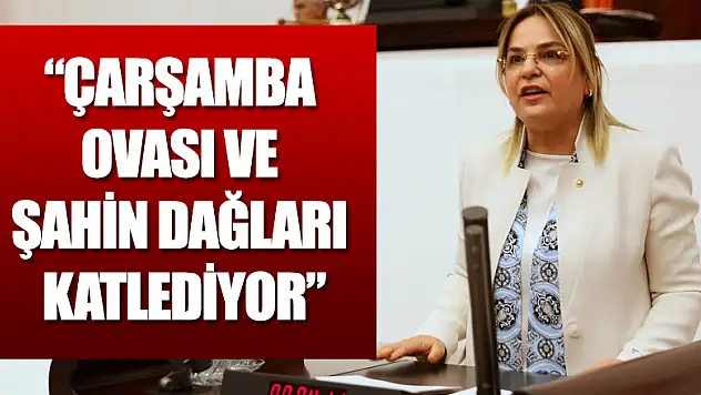 'Çarşamba Ovası ve Şahin Dağları katlediyor'