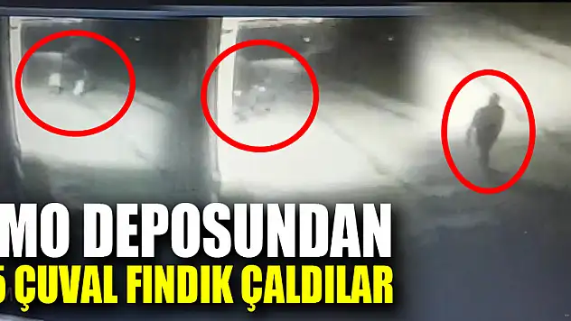 TMO deposundan 15 Çuval Fındık çaldılar