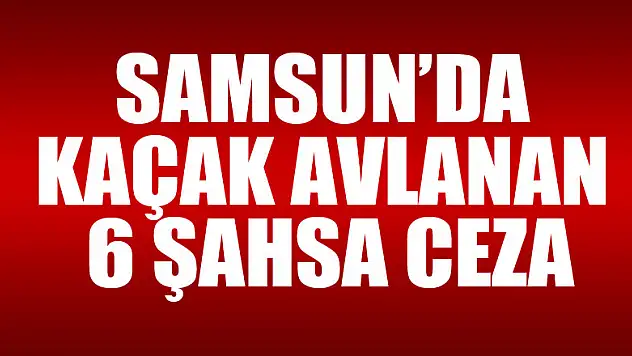Samsun'da kaçak avlanan 6 şahsa ceza