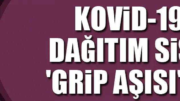 Kovid-19 aşısı dağıtım sistemine 'grip aşısı' önerisi