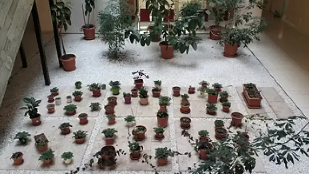 Çiçek bahçesi gibi adliye koridoru