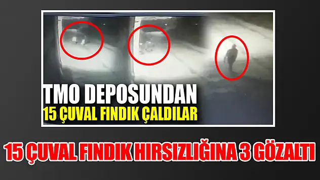 15 Çuval Fındık hırsızlığına 3 gözaltı