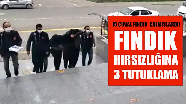Fındık hırsızlığına 3 tutuklama